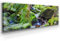 Wunderschönes Leinwandbild Wald Panorama 150x50cm – Ein einzigartiges Foto - Bachlauf - als Wandbild. Eine schöne Wanddeko für Wohnzimmer & Schlafzimmer. Aufgespannt auf Holzrahmen