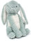 Les Déglingos - Toudou le Lapin Menthe - LES PTIPOTOS - Doudou tout doux pour bébé - Peluche Bébé - Cadeau de Naissance
