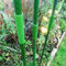 Lot de 10 tubes de raccordement pour tuteurs de jardin, structure de serre, etc. (11 mm)