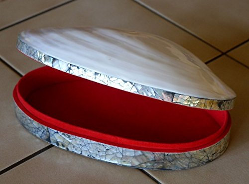 Muschel Schmuckdose Perlmutt Schmuckschatulle Schatulle 12