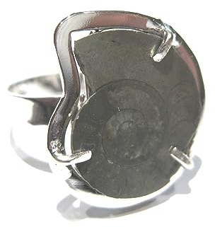 ammonit fossil ring silber 925%