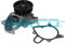 DAYCO DP326 Bomba de agua
