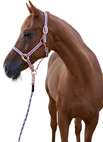 Halfter Cora grau,rose,weiß, Cob