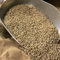 Legekorn für Wachteln ohne Soja 25 kg | GVO-frei | ohne Gentechnik | Alleinfutter für Legewachteln | Wachtelfutter mit Bierhefe und Kartoffeleiweiß