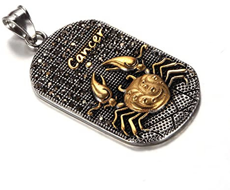 LODMLOER Zodiac Star Sign Constellation Horoscope Pendant Necklace - 12 Constellations Horoscope Astrology Amulet Pendant Necklace Birthday Gifts Mens/Women Jewelry