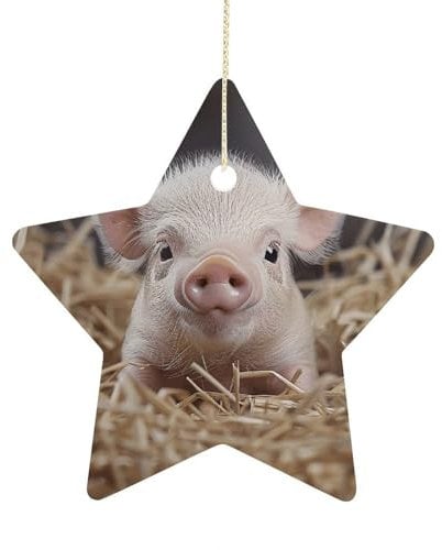 Weihnachtsbaumschmuck Keramik Weihnachtsstern Dekorationen Stroh und Ferkel Stern Dekor Weihnachtsbaum Hängende Anhänger für Weihnachtsbaum Party Urlaub Home Dekorationen