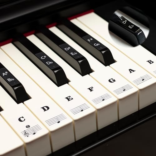 Piano Keyboard Stickers 88/61/54/49/37 Keys White and Black Keys Removable Keyboard Letters Keyboard Note Labels Sticker Piano Stickers for Beginners