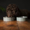 Scruffs Ceramic Heavy Duty Reactive Glaze Pet Bowls - 2pc Set - Grey Pinstripe - 15cm