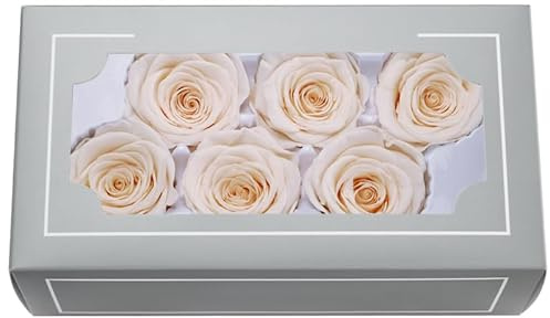 A Grade 5-6cm konservierter Rosenkopf, Top Grade Natural Eternal 6 Stück/Box Echte Rosen, Ewige Rose für Muttertag, Valentinstag, Geburtstag, Geschenke, Hochzeit, Zuhause, Party, Dekoration, DIY