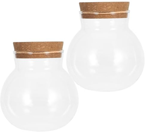 Levemolo 2 Stück Hydroponische Glas pflanzvase mit Kork Transparente Behälter für Schreibtischpflanzen Hydrokultur Station für Büro und Zuhause