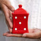 City to Cottage | Jarre de conservation Bocal à herbes, à épices | rouge à pois blancs en céramique avec couvercle fait et peint à la main | Petit 150ml