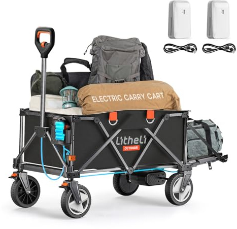 Litheli Carrello elettrico pieghevole con freni, 200 l, 60 kg, adatto per campeggio, giardino, fare la spesa (nero, 2 batterie)