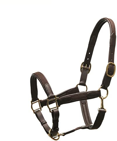 Horsecode Halfter Brown Gold WB