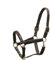 Horsecode Halfter Brown Gold WB