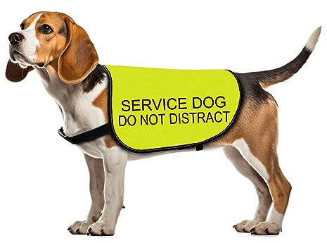 Diensthundejacke Weste Diensthund Do Not Distract Hundeweste Hund Spaziergang Slogan Warnweste (Diensthund Distract-Medium)