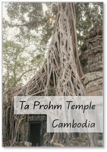 Ta Prohm Tomb Raider Temple in Angkor Complex Cambodia, Design 7, Fridge Magnet