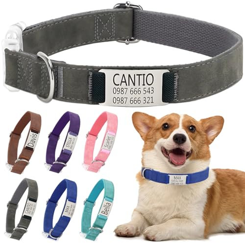 Collar Perro Personalizado Nombre, Collares para Perros con Placa Metálica de Identificativa Grabada, Ligero, Ajustable, S(27,9-39,9 cm), Gris
