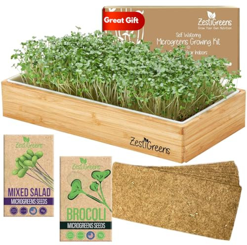 Microgreens Anzuchtset, selbstbewässernd, inkl. Microgreens Tablett, Microgreens Samen, Matten und Bambus-Umrandung. Keine Erde erforderlich. Einfach aufzubauen. Keimset, das einmal Wasser einweicht.