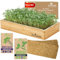 Microgreens Anzuchtset, selbstbewässernd, inkl. Microgreens Tablett, Microgreens Samen, Matten und Bambus-Umrandung. Keine Erde erforderlich. Einfach aufzubauen. Keimset, das einmal Wasser einweicht.
