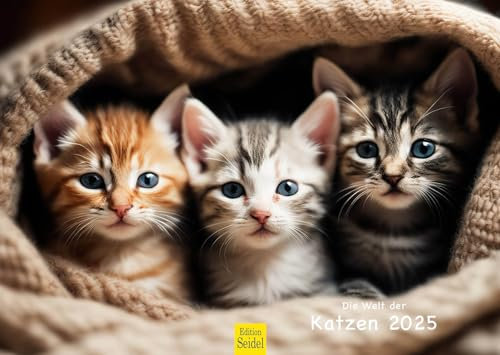 Edition Seidel Premium Kalender Die Welt der Katzen 2025 Format DIN A3 Wandkalender Katzenkalender Haustiere Kätzchen Katzenkinder Katze Kater Kitten