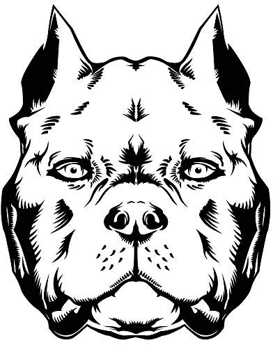 Oedim American Bully Autoaufkleber, 16 x 16 cm, selbstklebend, einfach anzubringen, wirtschaftlich und robust