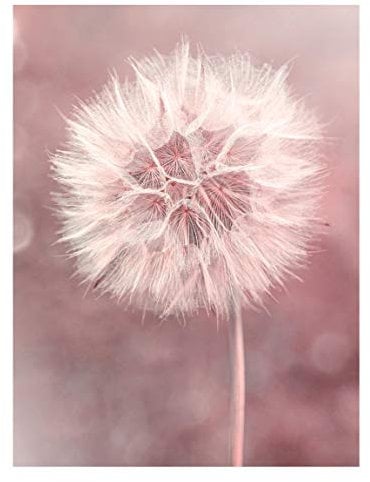 Bilderwelten Magnettafel - Pusteblume Bokeh rosa - Memoboard 40 x 30cm