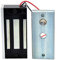 AOAMZ Serratura magnetica elettrica 60 KG/130lbs Serratura Elettronica, Serratura per Porta Garage 12V Fail safe NC Serratura Elettrica Forza di Tenuta per Sistema di Controllo Accessi