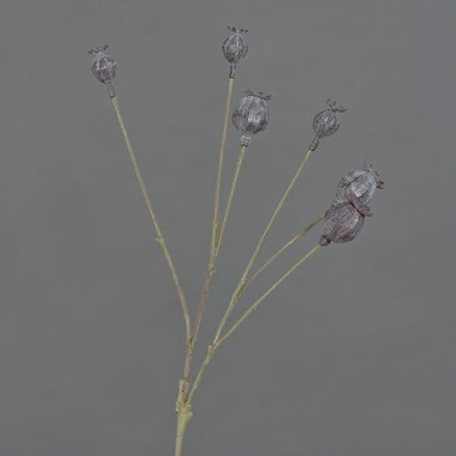 artplants.de Kunst Mohnkapseln ASUMAN, Dunkelbraun, 70cm - Deko Blume
