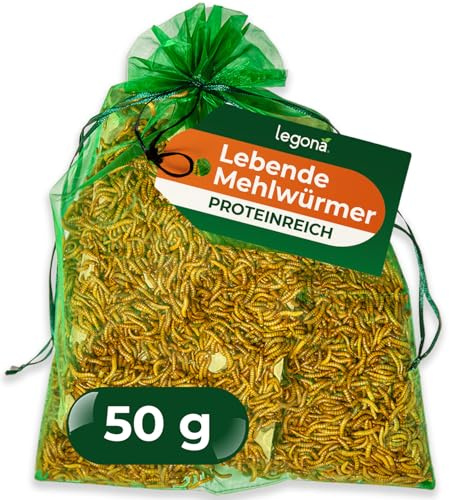 Legona Lebende Mehlwürmer, 50 g Futterinsekten für Reptilien und Hühner | Lebendfutter aus Tenebrio-molitor-Zucht, für Reptilien, Geflügel, Wildvögel und Fische