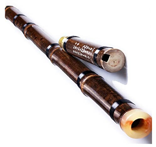 TSTS Professionelle Bambusflöte 8-Loch-Xiao-Flöte, Zweiteiliges Flöteninstrument, Musikalisch, Professionelle Querflöte Aus Bambus, G-Taste