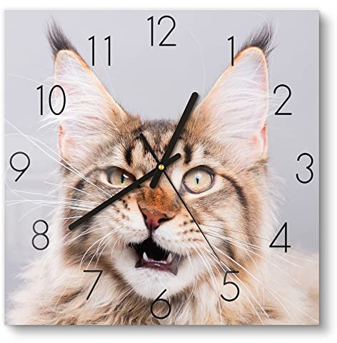 DEQORI Glasuhr | 30x30 cm | Motiv Maine Coon Katze faucht | ausgefallene leise Design Uhr aus Glas | Wanduhr für Wohnzimmer & Küche | moderne Hingucker Uhr für die Wand
