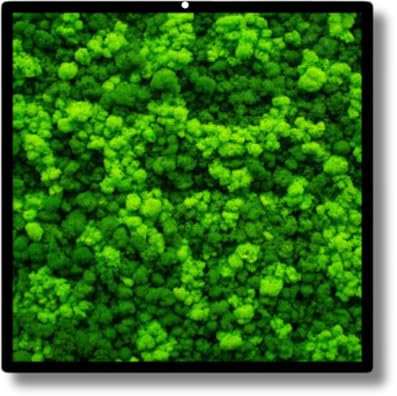 I GIARDINI DI GIULIA Quadro Rettangolare in Muschio e licheni Stabilizzati - Cornice in Legno Naturale - Decorazione Vegetale Elegante per Casa e Ufficio - Senza Manutenzione (40X30 CM)