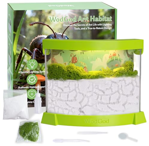 Illuminated Ant Farm Habitat with Magnifier - Educational Ecosystem for Ant Colony Observation, Home & Classroom Science Study (Live Ants Not Included)