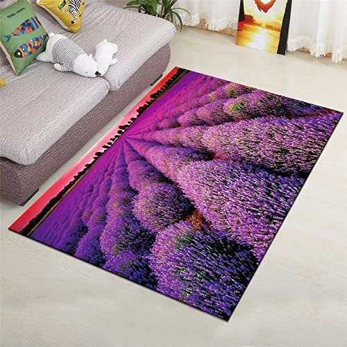 Tepich Teppischsclafzimmer Sharon-Teppich, Lila, Minimalistisches Blumenmuster, Strapazierfähiger Teppich, Verschleißfest 200X250Cm Teppich Jungen Jugendzimmer Violett