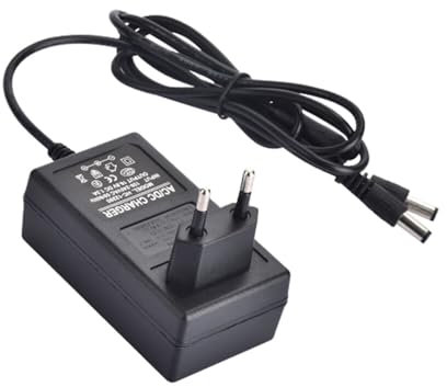 Chargeur de Batterie 21V pour Sécateur Electrique