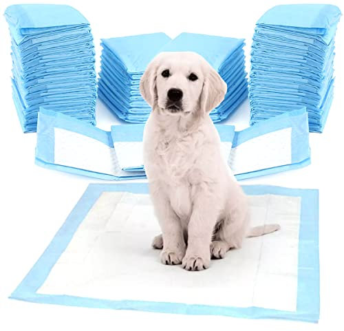ZOLTA Hunde Toilettenmatten 60x60cm - Trainingspads für Hunde Set 100 - Einweg-Inkontinenzeinlagen - Hygienematte für Haustiere - Hundezubehör Zuhause und Unterwegs