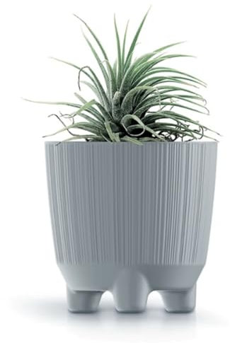 B2C Plant Pots Indoor Outdoor Plastic Flowerpot Small Medium Large RYFO 6 Colours (Grey, 11cm)
