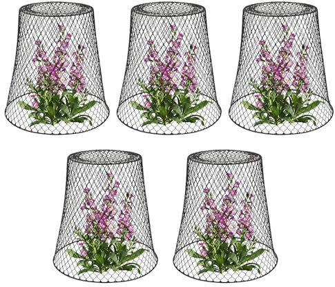 Chicken Wire Cloche Pflanzenschutz, 5 Stück Garten Pflanzenschutz, Metall Pflanzen Käfig Schutz, Outdoor Garten Glocke Pflanzenschutzkorb für Gemüse, , Blumen