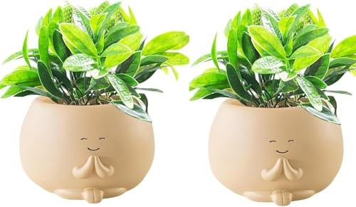 Blumentopf Schaukel | Hängend | Mit Gesicht | Übertopf | Swinging Plant Pots | Neuheit Moderne Hängende Kopf Pflanzer Für Garten/Schule/Haus (2stk)