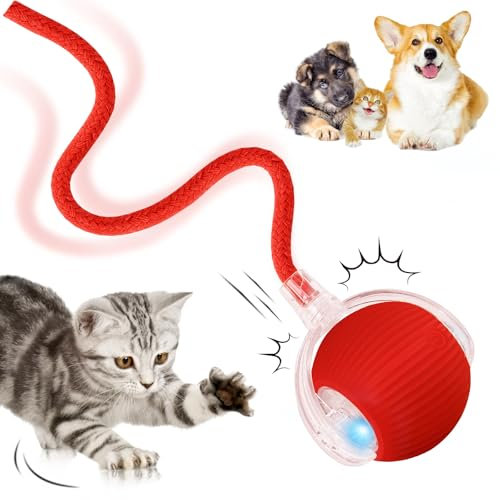 DAMIGHT Interaktives Katzenspielzeug, Katzenball Spielzeug Elektrisch, 360° Rolling Intelligentes Katzenspielzeug Wiederaufladbar über USB, Bewegliches Spielball für Katzen und Hunde Innenbereich
