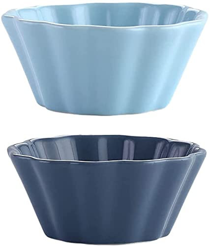 ZHANGDONG Bol Enfant Bol INOX saladier INOX saladier Plastique Cul de Poule 2 pièces ramequins en Porcelaine Plat Bol de Cuisson Tasse de Service pour crème brûlée Desserts Puddings crème