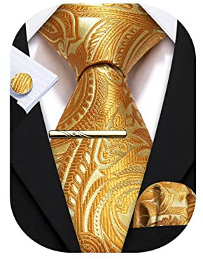 Barry.Wang Herren Krawatte Einfarbig Paisley Uni Schlips Satin Mit Einstecktuch Hochzeit Krawattenset
