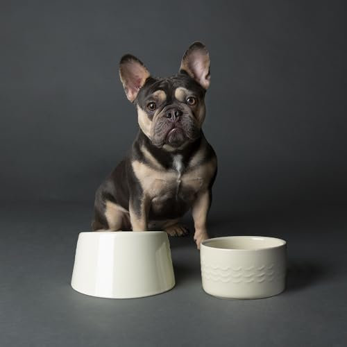 Scruffs Icon 2 Piece Flat Faced Dog Bowl & Water Bowl - 20cm | 18cm - Cream