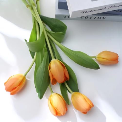 tulpenzwiebeln kaufen flowers decoration, zimmerpflanzen blumenzwiebeln tulpen frühlingsblumen zwiebeln, blumenwiese summer wildblumen balkonblumen winterharte 22pcs