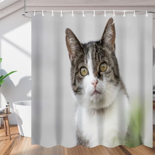 Latwerio Rideau Douche Chat Rigolo 180x180 cm Rideau de Douche Anti Moisissure Animaux Rideaux Baignoire Lavable en Machine Shower Curtain pour Salle de Bain avec 12 Crochets U123