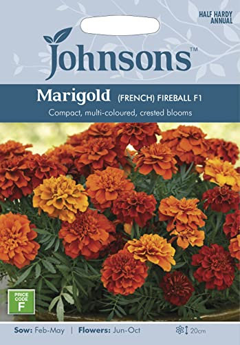 Johnsons 27308-UK/JO/FL-MARIGOLD Flower Seeds, Marigold (French) Fireball F1, Mixed, 0.5x92x132 cm