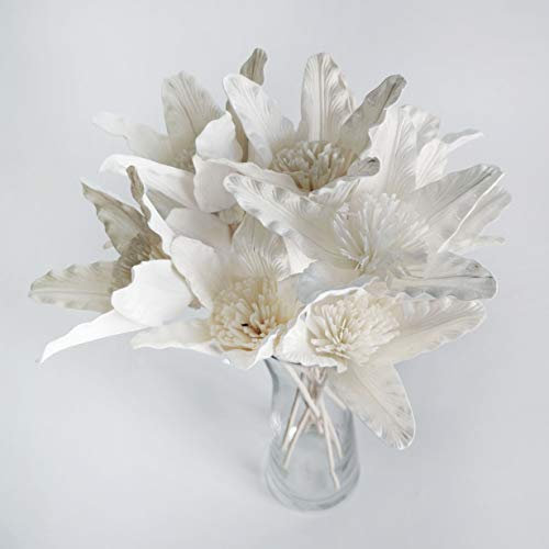 Schilfdiffusor 8 Lillium Casa Blanca (reintale Lilie) Sola HolzBlume 10 cm für den Raumduft von Plawanature