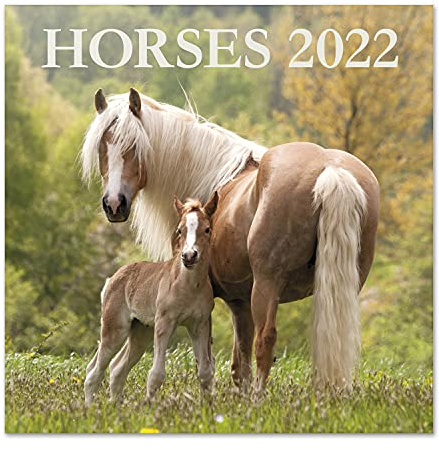 Grupo Erik Pferde Kalender 2022 Wandkalender 2022 Groß für 16 Monate, CP22003, Braun