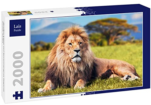 Lais Puzzle Großer Löwe auf Savannengras liegend. Kenia, Afrika 2000 Teile