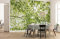 Komar Vlies Fototapete IM FRÜHLINGSWALD | Tapete, XXL, Dekoration, Natur, Landschaft, Schlafzimmer, Wohnzimmer, Büro, Flur | Größe 450 x 280 cm (Breite x Höhe) | SHX9-045